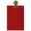 Benson Handige clip met zuignap - 5 stuks - meerkleurig - 5x4 cm