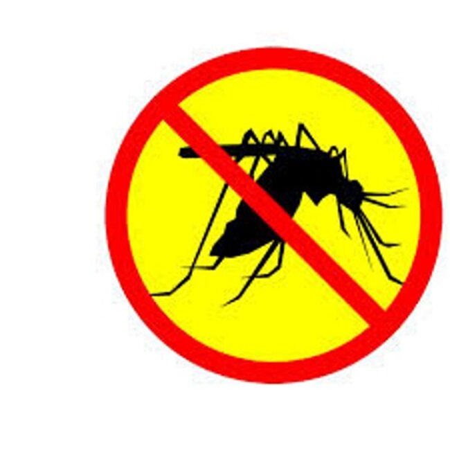 Benson Insectenlamp plug-in - UV-licht - Met opvangbakje - Energiezuinig - Wit