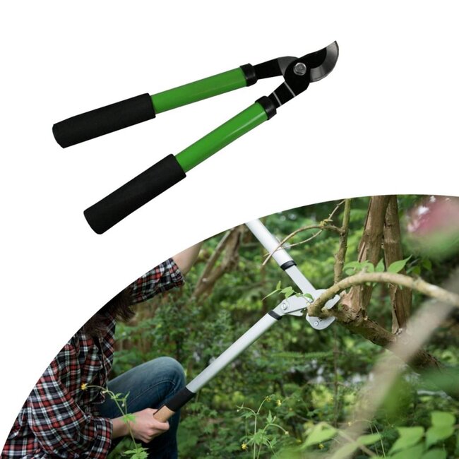 Benson Kleine takkenschaar met aambeeld - 38 cm - ideaal voor precisiewerk