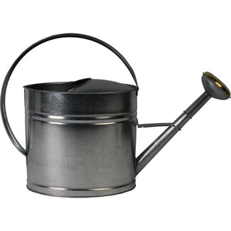 Talen Tools Gegalvaniseerde Gieter 10 Liter - Perfect voor Tuinbewatering