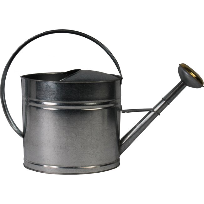 Talen Tools Gegalvaniseerde Gieter 10 Liter - Perfect voor Tuinbewatering
