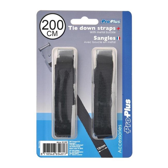 ProPlus Bindriemen met metalen gesp - 18 mm x 200 cm - zwart - set van 2