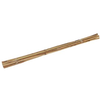 Talen Tools Bamboestokken - 60 cm - Ø 6 - 8 mm - 10 stuks