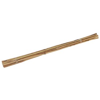 Talen Tools Bamboestokken 60 cm - Ondersteun Uw Planten Natuurlijk - 10 Stuks