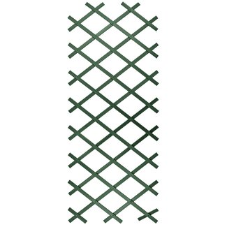 Talen Tools Kunststof Klimrek Groen 50x150cm voor Klimrozen