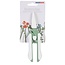 Talen Tools Bloemenschaar Groen Trendy