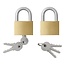 ProPlus Hangslot - Messing - Inclusief 3 sleutels - 50 mm - Goud en zilver