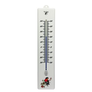 Talen Tools Kunststof Thermometer voor Buiten - 32 cm