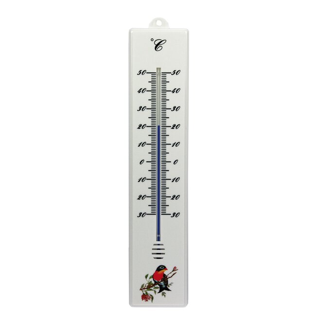 Talen Tools Kunststof Thermometer met Vogelafbeelding voor Buiten - 32 cm