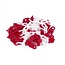 Benson Veiligheidsketting - Rood/Wit - Kunststof - 8 mm x 5 meter