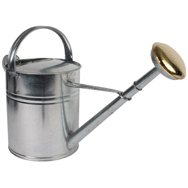 Talen Tools Metalen Gieter - 10 Liter - Verzinkt