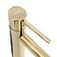 REA Hoog model wastafelkraan - glans goud - eengreeps - messing - 340 mm hoogte