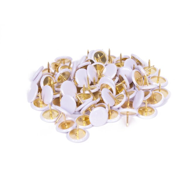 Benson Punaises - Witte kop - Plat - 2 mm - 80 stuks