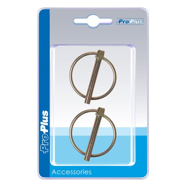 ProPlus Borgpen - Ø 6 mm - met Ø 38 mm ring - 2 stuks - robuust staal