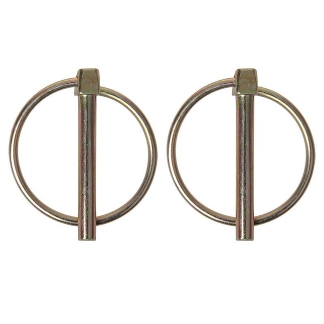 ProPlus Borgpen - Ø 6 mm - met Ø 38 mm ring - 2 stuks - robuust staal