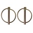 ProPlus Borgpen - Ø 6 mm - met Ø 38 mm ring - 2 stuks - robuust staal