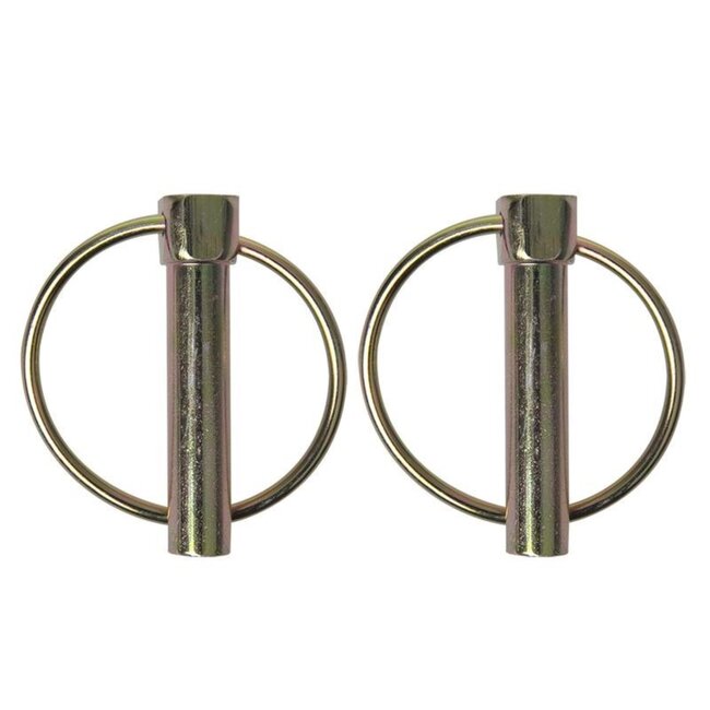 ProPlus Borgpen - Ø 10 mm - met Ø 39 mm ring - 2 stuks - robuust staal - zilver
