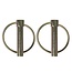 ProPlus Borgpen - Ø 10 mm - met Ø 39 mm ring - 2 stuks - robuust staal - zilver