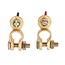 ProPlus Accupoolklemmen set - vleugelmoer - messing en staal - rood en zwart - 16-18 mm