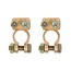 ProPlus Accupoolklemmen set - messing - staal - 35-50 mm² - goud - 2 stuks