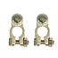ProPlus Accupoolklem Set - M8 Bout - Goudkleurig - Messing - Voor Min en Plus Pool