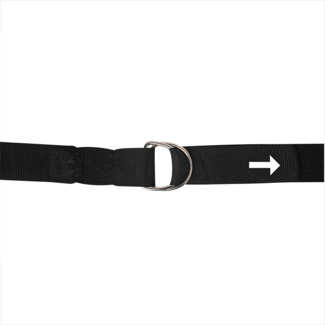 ProPlus Stormbandset voor luifels - 2 spanbanden - 6-delig - 300 cm