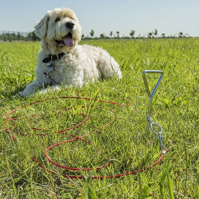 ProPlus Aanlegspiraal voor honden - met handvat, ring en 4,5 meter kabel - 40 cm lang