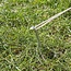 ProPlus Tentharingen - Halfrond Metaal - 22 cm - Set van 10 stuks