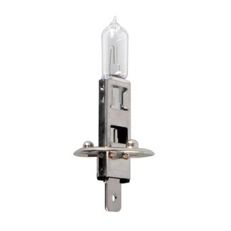 ProPlus Autolamp - 12V - 55W - P14.5S - H1 - blisterverpakking ProPlus Autolamp - 12V - 55W - P14.5S - H1 - blisterverpakking