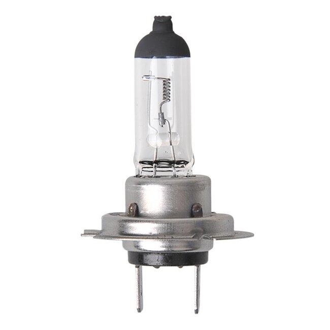 ProPlus Krachtige H7 autolamp - PX26D fitting - 70W - 24V - wit licht - blisterverpakking
