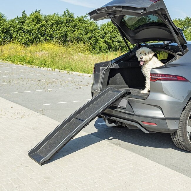 ProPlus Opvouwbare hondenloopplank - anti-slip - 155 cm - max 90 kg