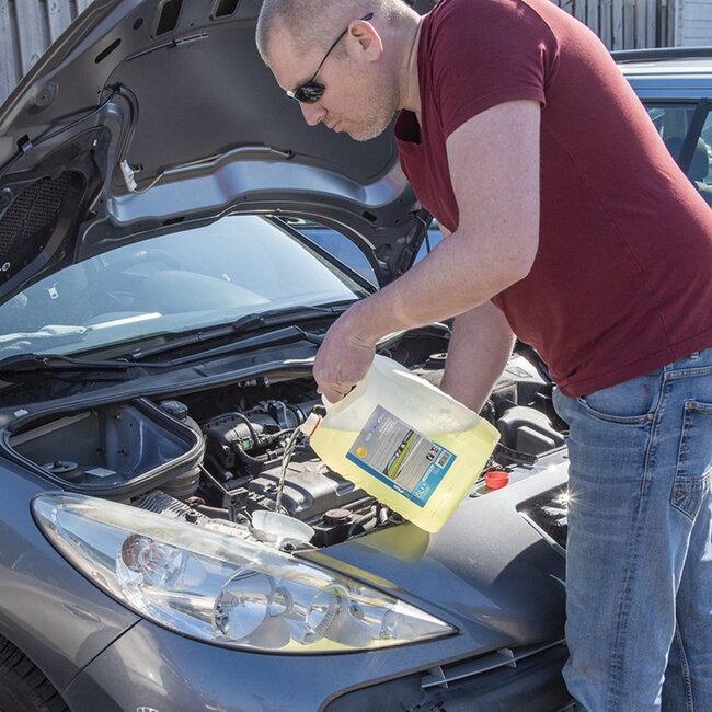 ProPlus Ruitensproeiervloeistof - Zomerformule - Kant-en-klaar - 5 liter