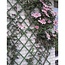 Talen Tools Kunststof Klimrek Groen 50x150cm voor Klimrozen
