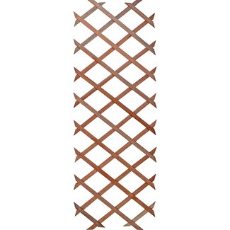 Talen Tools Houten Klimrek 60x180 cm - Perfect voor Klimplanten