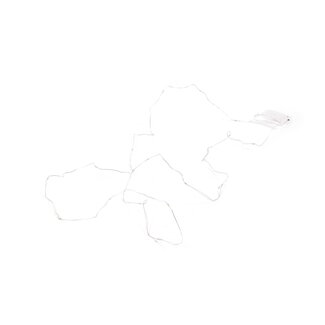 Benson Decoratieve lichtsnoer - 20 micro-LED's - 2,3 meter - inclusief batterijen