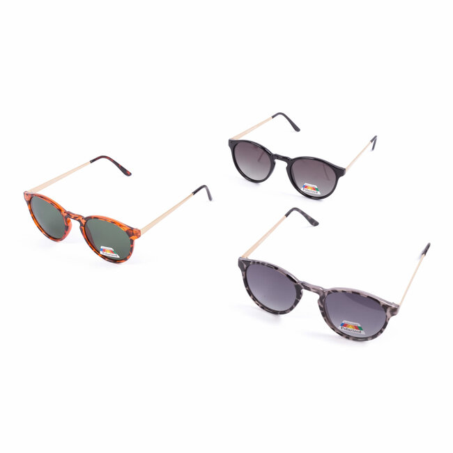 Benson Gepolariseerde zonnebril - kleurenmix glazen - metaal en kunststof montuur - unisex