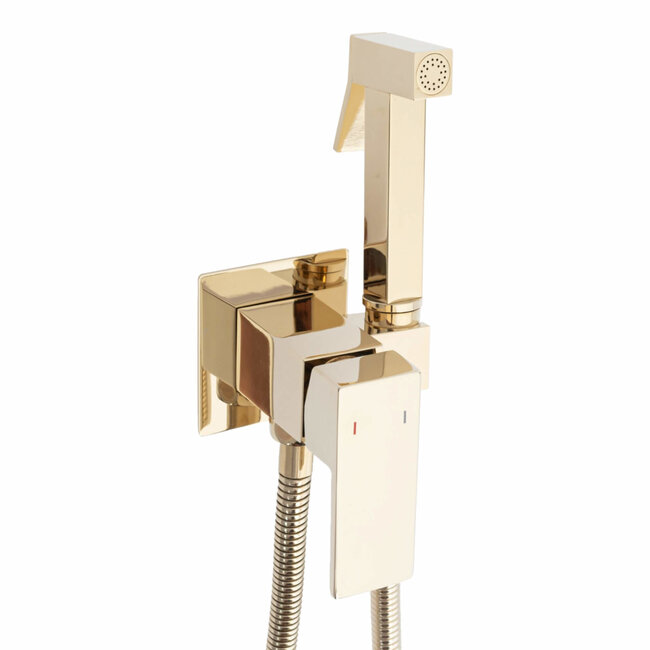 REA Inbouw bidetkraan met sproeier - glans goud - luxe en hygiënisch design