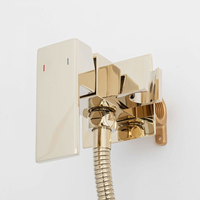 REA Inbouw bidetkraan met sproeier - glans goud - luxe en hygiënisch design