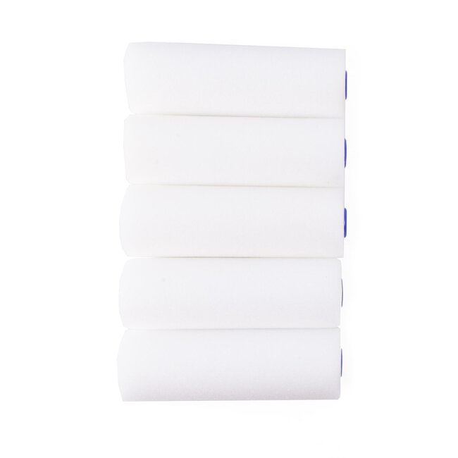 Benson Schuimroller set - 10,5 cm - recht - 5 stuks - voor watergedragen verf