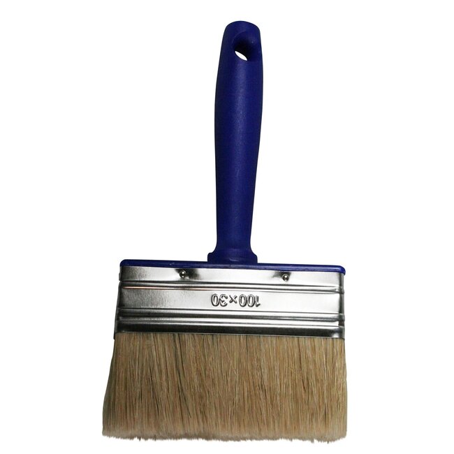 Benson Blokkwast - Rechthoekig - Varkenshaar - Kunststof Handvat - 100 mm - 30 mm