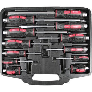 Hofftech 12-delige schroevendraaierset - PH & sleufkop - Inclusief koffer - Ergonomisch ontwerp Hofftech 12-delige schroevendraaierset - PH & sleufkop - Inclusief koffer - Ergonomisch ontwerp