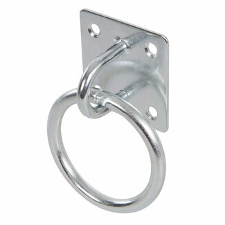 Fixman Muurplaat met ring - gegalvaniseerd staal - ankerpunt voor ketting en hangslot - 5 x 5 cm - zilver - voor muur of vloer