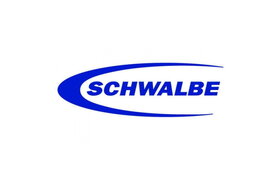 Schwalbe