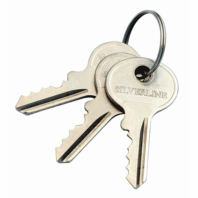 Silverline Hangslot - gelamineerd staal en messing cilinder - weerbestendig - 48 mm - zilvergrijs - 3 sleutels - buiten