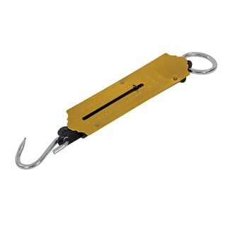 Silverline Traditionele veerweegschaal - 25 kg capaciteit - Stalen ring en haak - Inclusief hangring