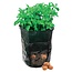 Silverline aardappelplantzak - geweven polyethyleen, uv-gestabiliseerd - met drainagegaten - 36 x 51 cm - groen - voor aardappelen