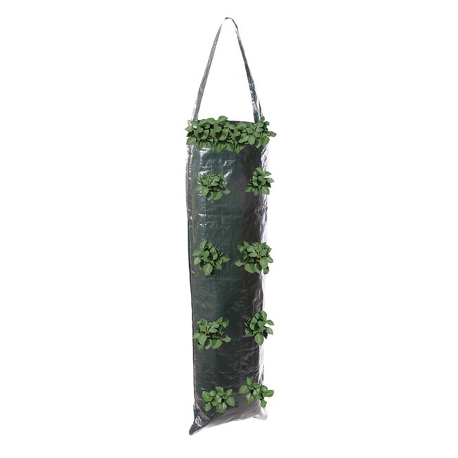 Silverline Hangende groeizak - 8 plantgleuven - UV-bestendig - 70 x 22 cm - 2 stuks