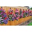 Silverline Hangende groeizak - 8 plantgleuven - UV-bestendig - 70 x 22 cm - 2 stuks