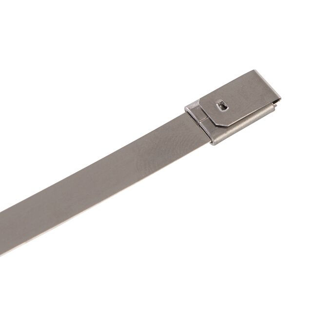 Fixman Kabelbinders - RVS - balvergrendeling, corrosiebestendig - 30 cm - zilver - 50 stuks - kabels, leidingen en slangen