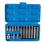 Silverline Torx Bitset - 30 en 75 mm - T20, T25, T30, T40, T45, T50 en T55. - in Koffer